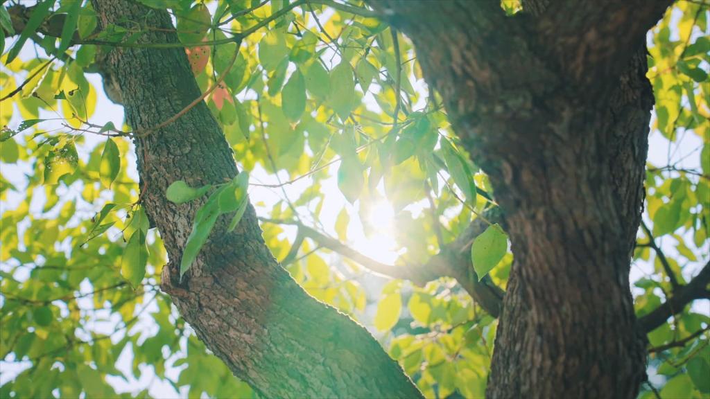 AG�ټҼ��֡�(�й���)�ٷ���վ