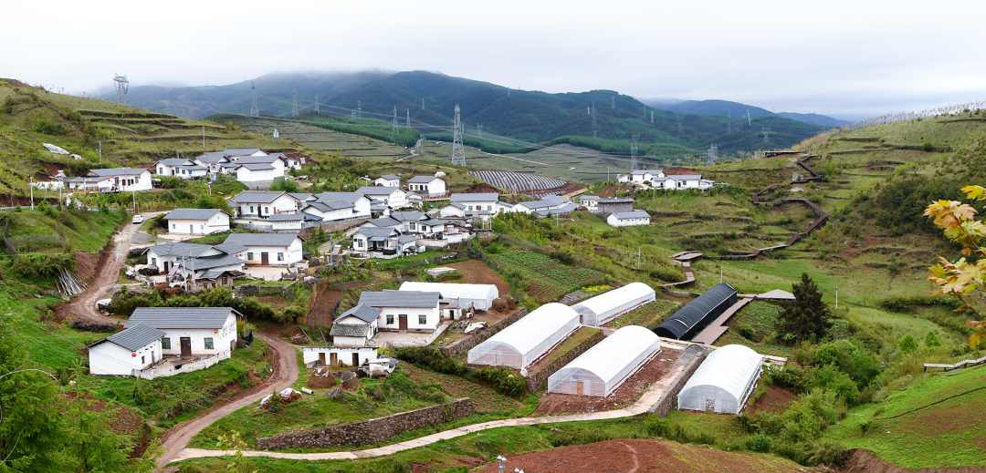 AG�ټҼ��֡�(�й���)�ٷ���վ