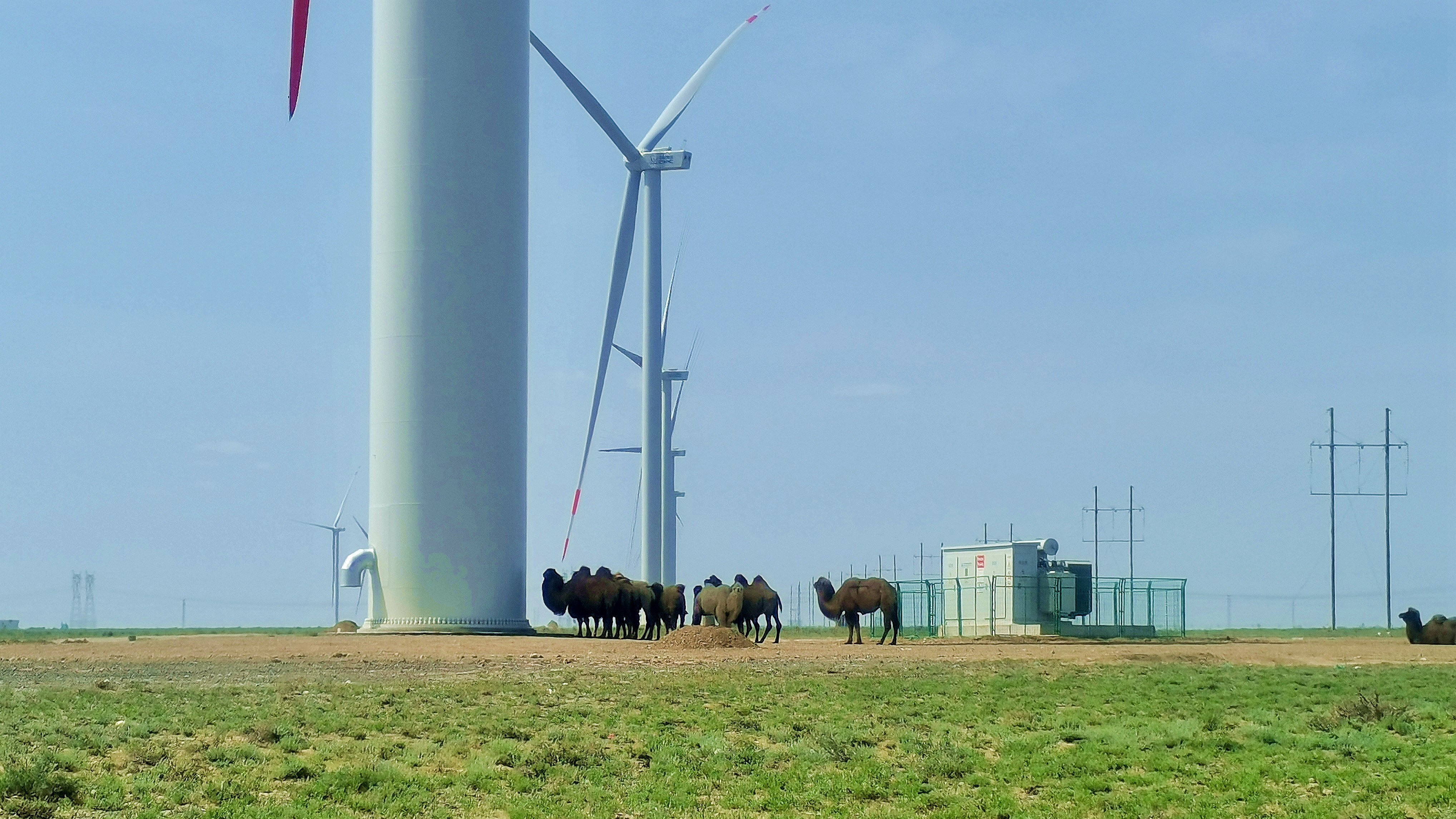 AG�ټҼ��֡�(�й���)�ٷ���վ