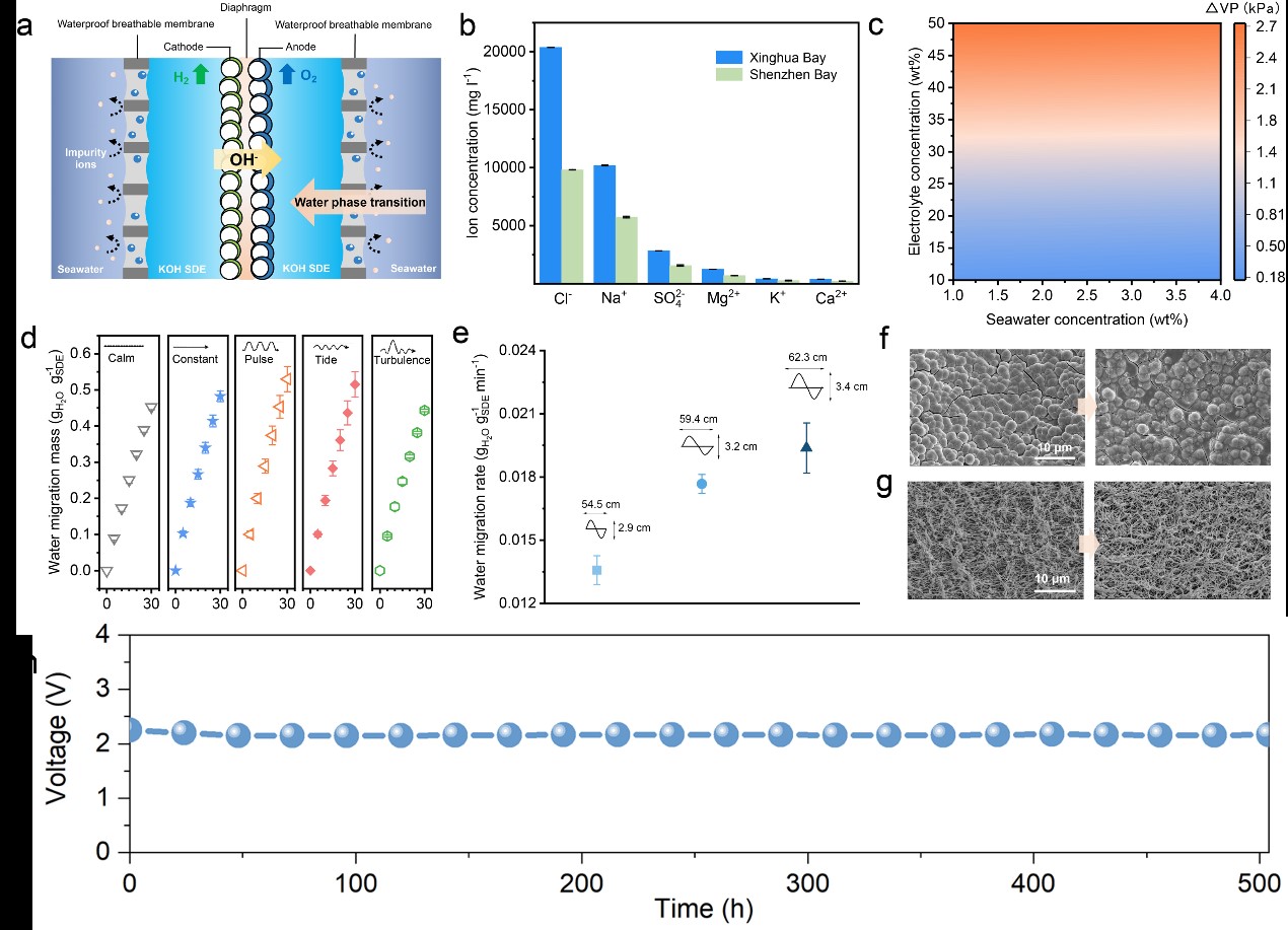AG�ټҼ��֡�(�й���)�ٷ���վ