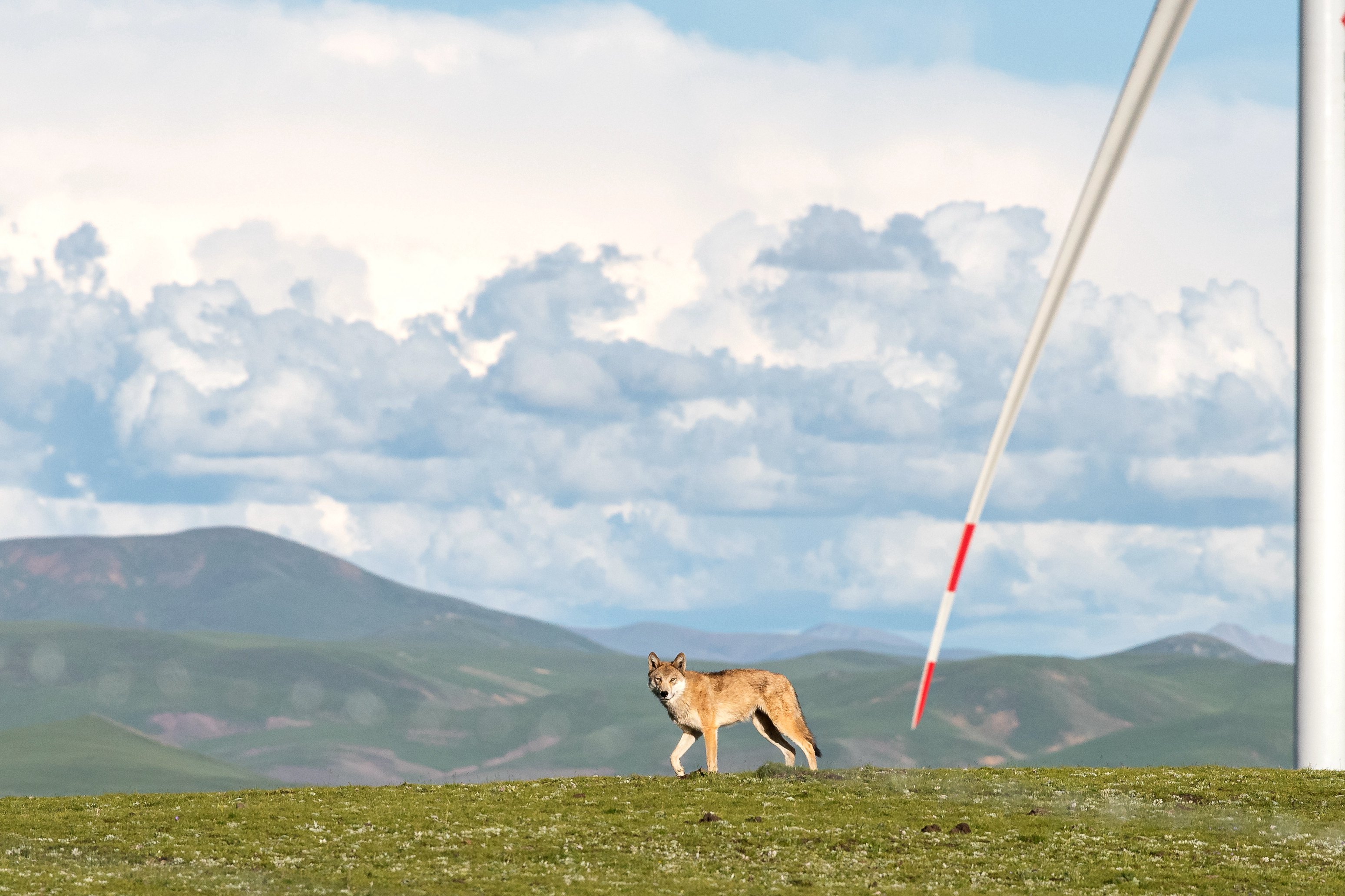 AG�ټҼ��֡�(�й���)�ٷ���վ