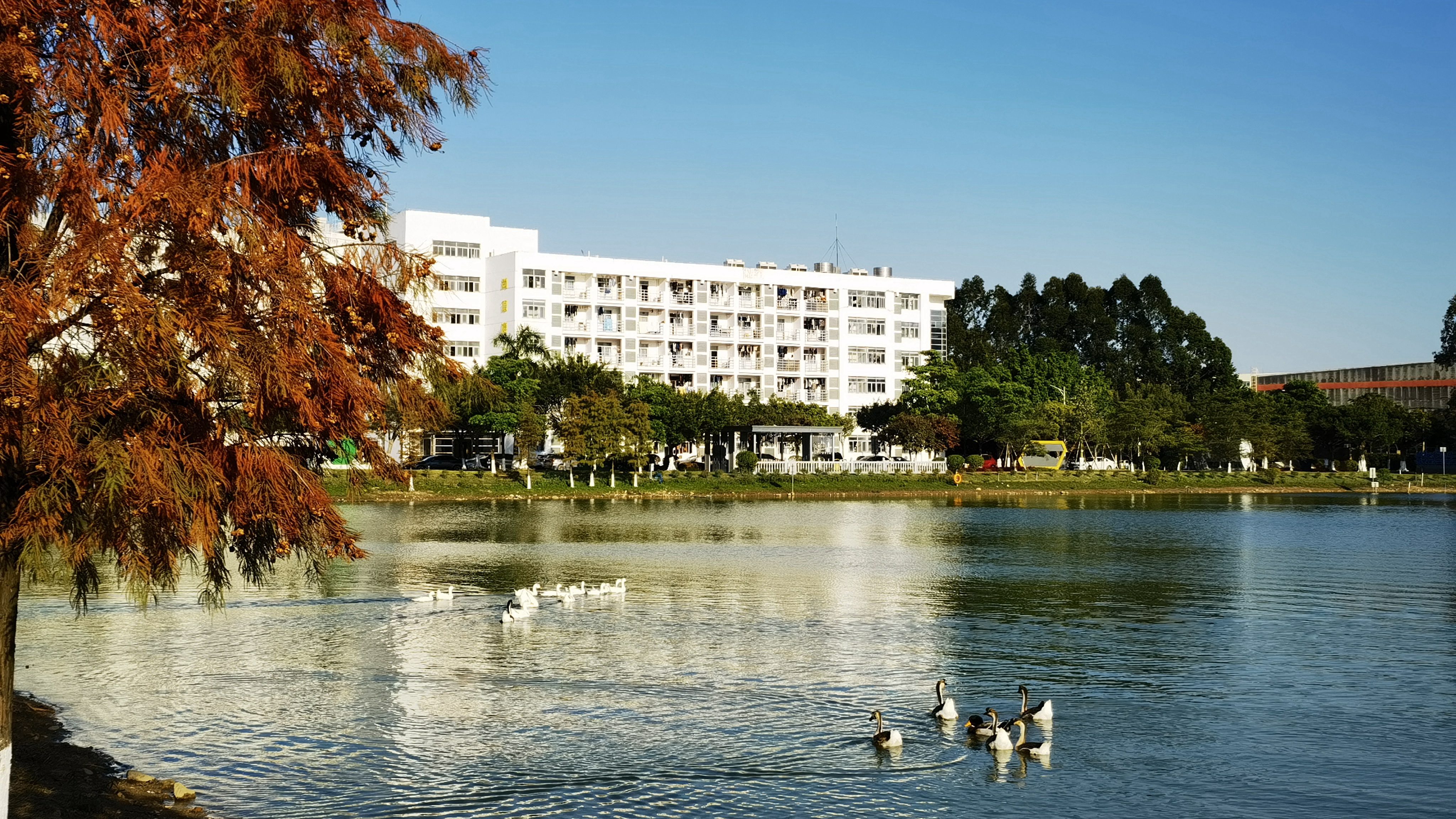 AG�ټҼ��֡�(�й���)�ٷ���վ